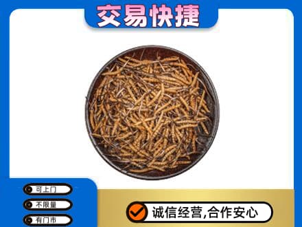 焦作市解放高价回收散虫草